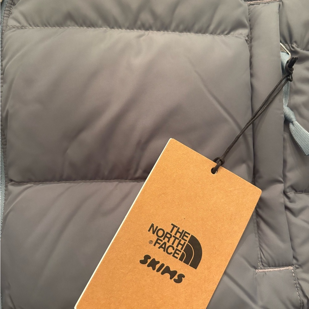 THE NORTH FACE X SKIMS 2000 Retro Nuptse Jacket - Kyanite - Picture 3 of 5